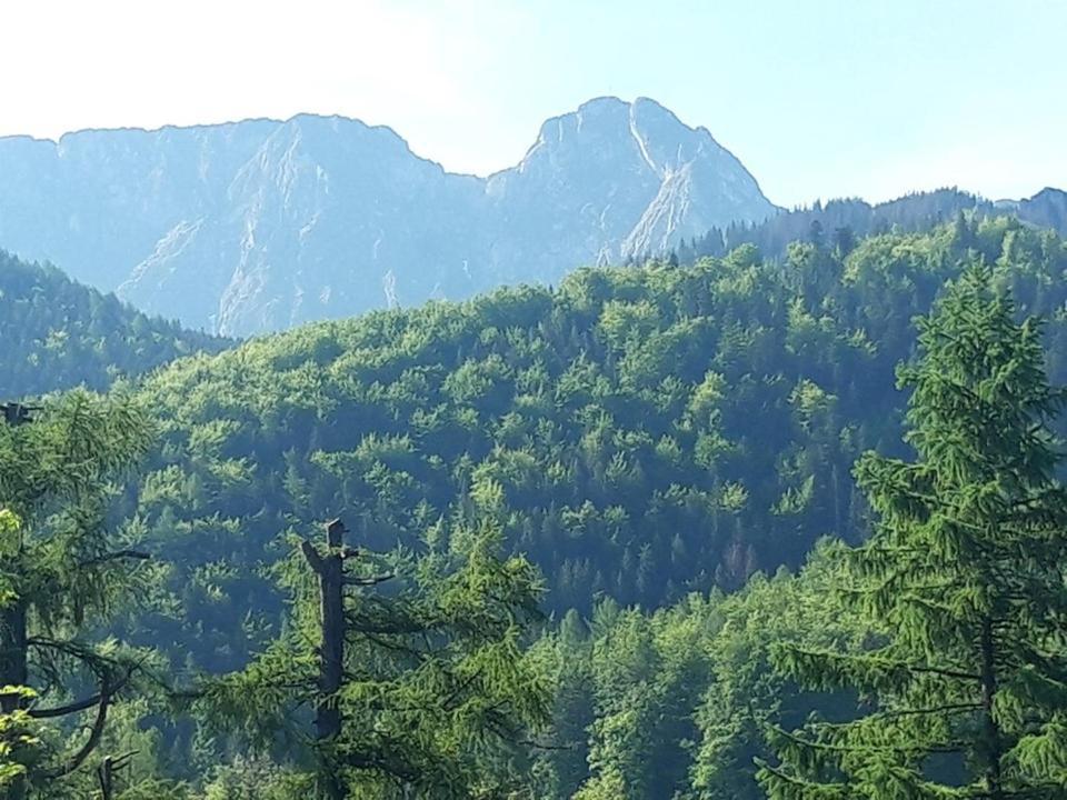Kwatery Prywatne-Romanowka Zakopane Exterior foto