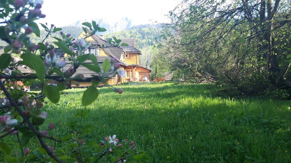 Kwatery Prywatne-Romanowka Zakopane Exterior foto