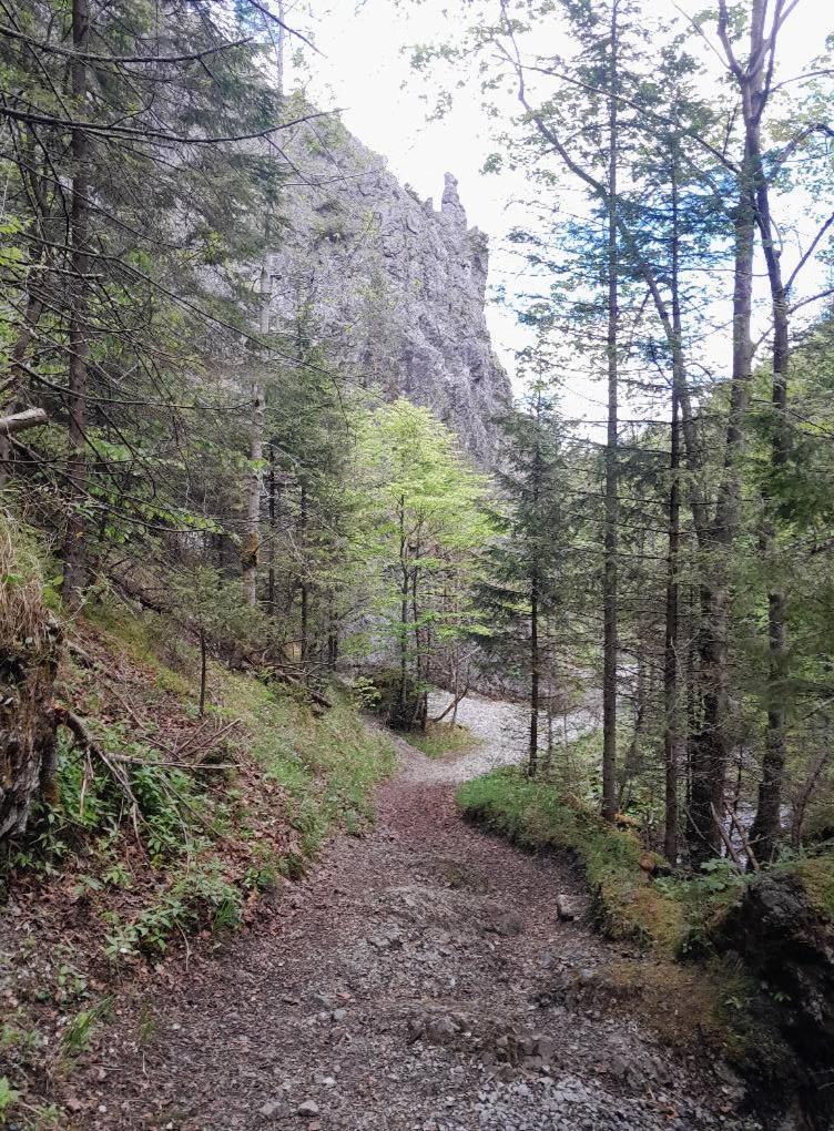 Kwatery Prywatne-Romanowka Zakopane Exterior foto